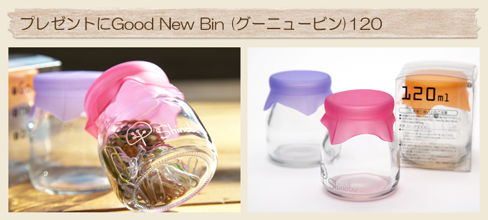 入学祝いのプレゼントにGood New Bin (グーニュービン)120