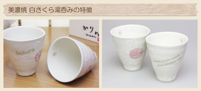 美濃焼 白さくら湯呑みの特徴